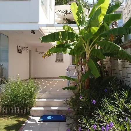 Отель Lara Ilica 2*